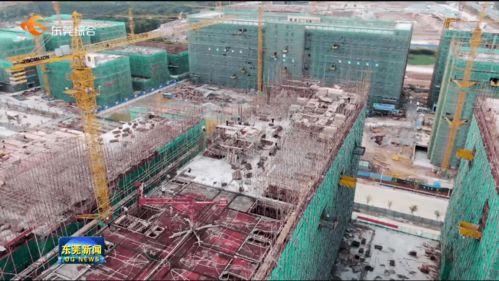 我市提前完成年度重大項目開工任務，累計新開工142個