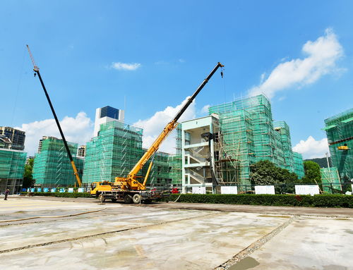 明珠小學改擴建工程有序推進，景觀工程為校園增添新氣象