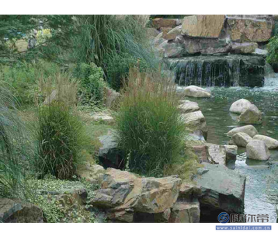 百草園供應可靠的園林景觀工程，寧波與博羅縣專業服務